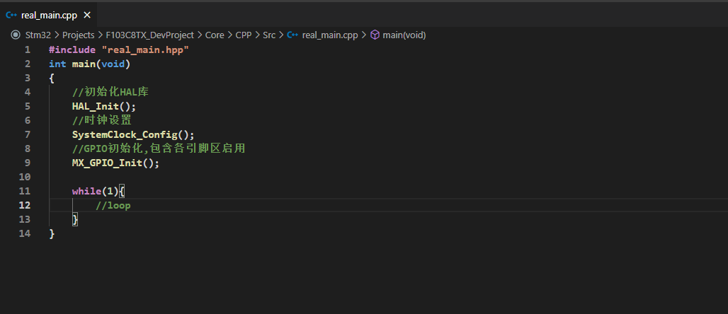 处理real_main.cpp